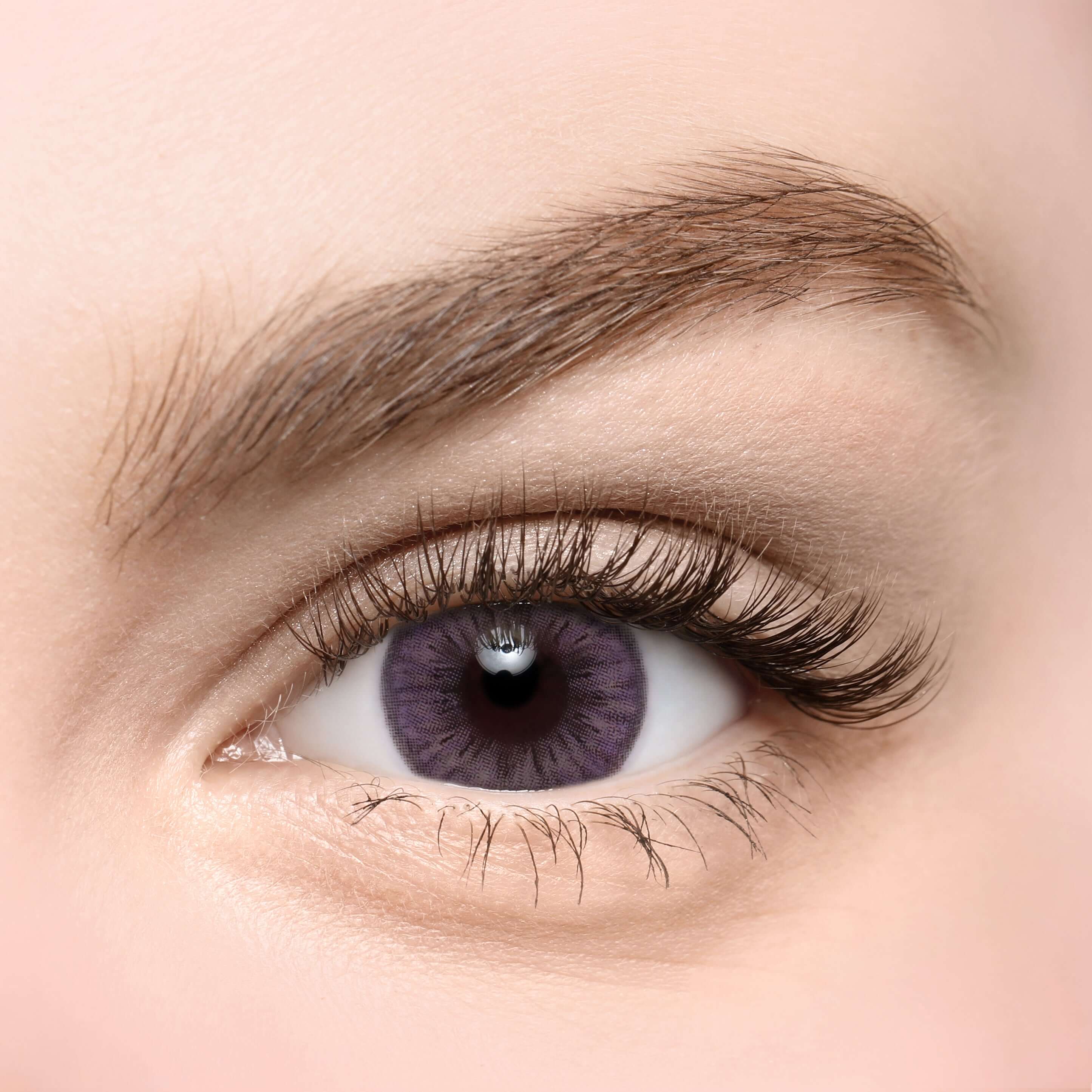 Eyegee Purple