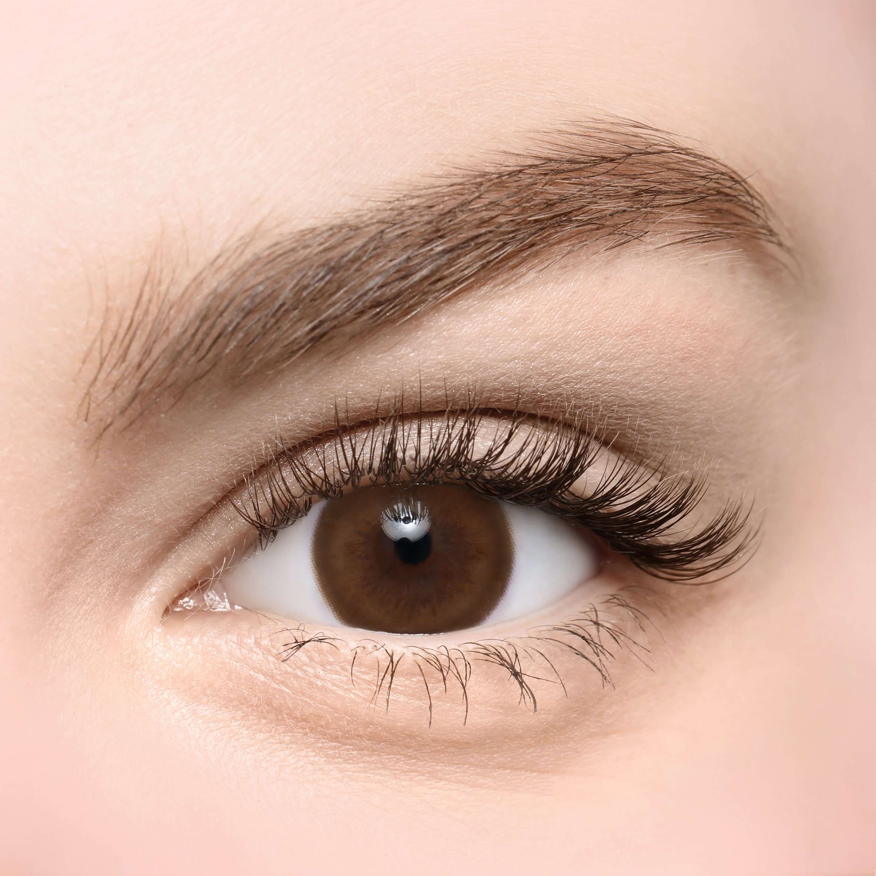 Close-up of an eye wearing Danbie Classic Brown toric contact lens with a natural brown color. Ideal for daily to yearly use, product ID: K015BR.