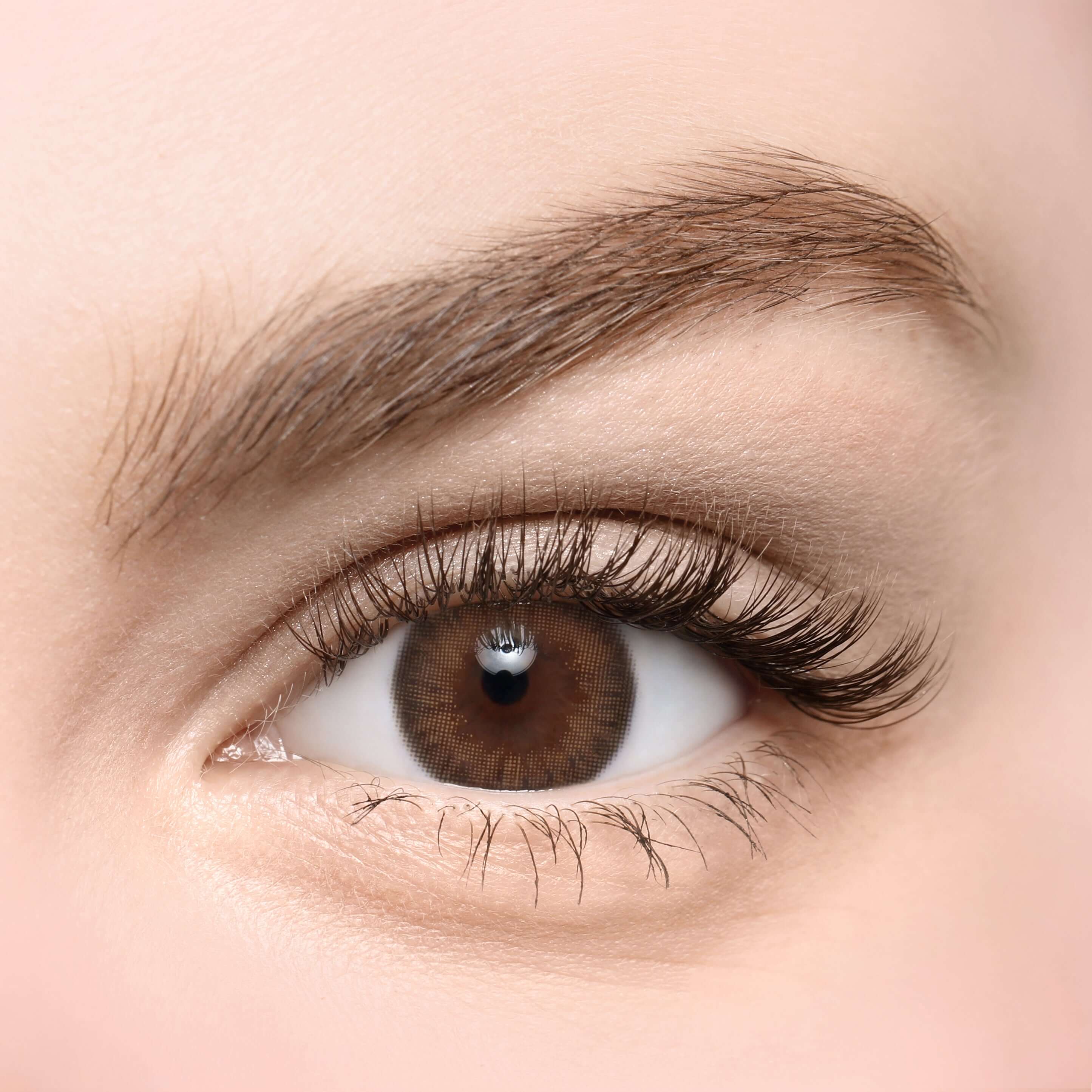 Close-up of eye wearing Aida Brown toric contact lens with delicate iris design and 55% water content.